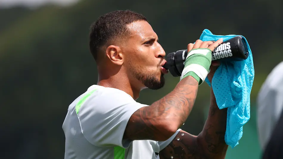 Vini-Souza